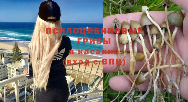 прущие крисы Алексин