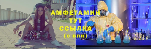 стаф Алзамай