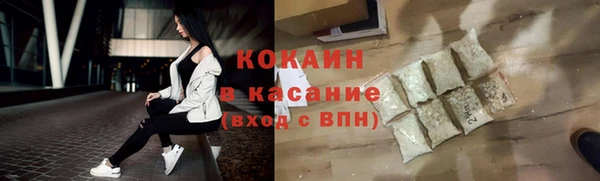 стаф Алзамай