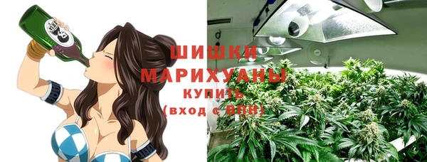 стаф Алзамай