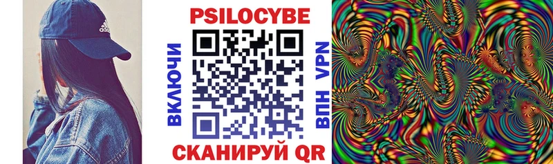 Псилоцибиновые грибы Cubensis  Лаишево 